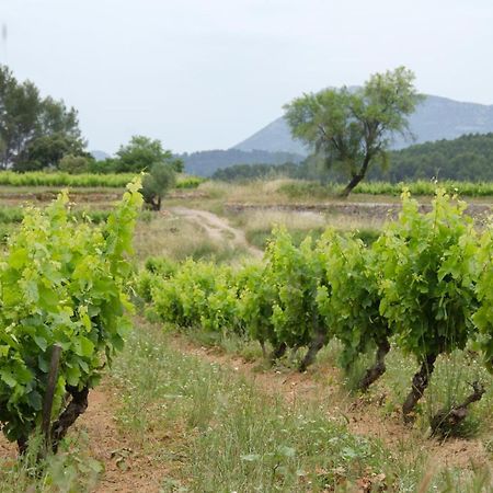 La Maison De Campagne Carcès Exterior foto